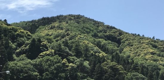 熊川城