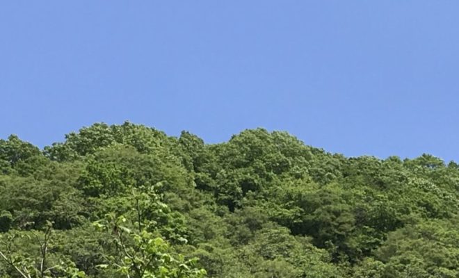 玄蕃尾城