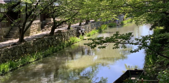 望月東庵