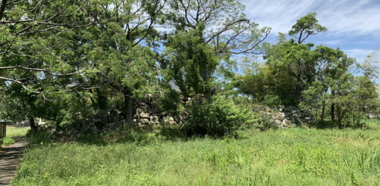 織田信勝(織田信行)