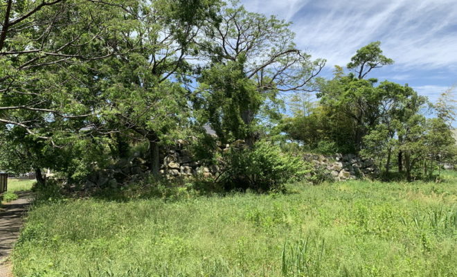 織田信勝(織田信行)