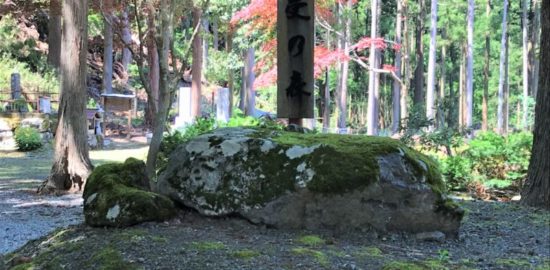 毛受の森