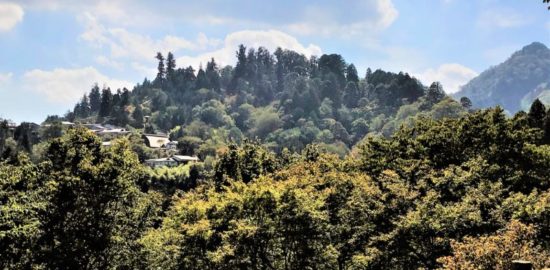 四天王政孝・政実