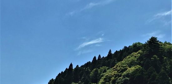 佐藤忠能