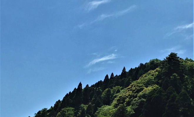 佐藤忠能