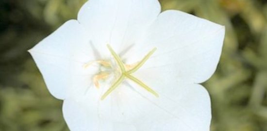 三沢秀次　溝尾茂朝