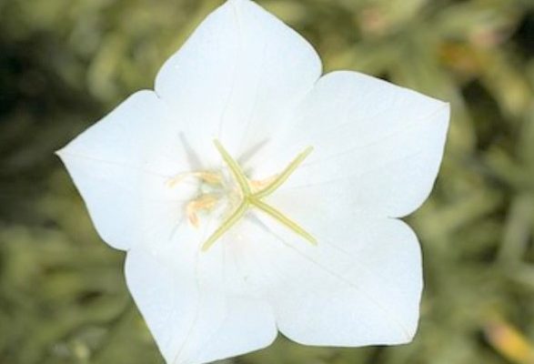 三沢秀次 溝尾茂朝