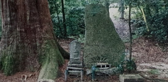 お牧の方(於牧の方)