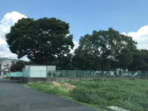 槇島城（現：槇島公園）