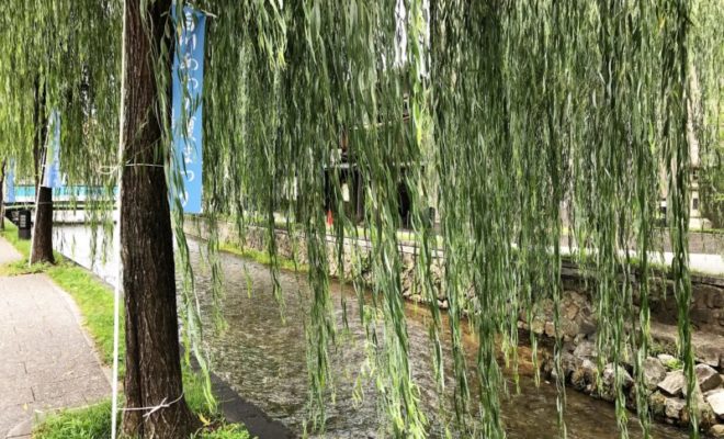 京都 東山 白川