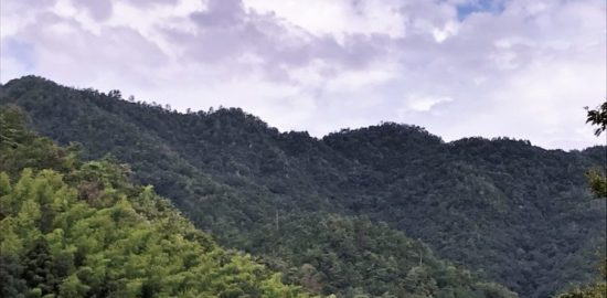 大桑城の遠景