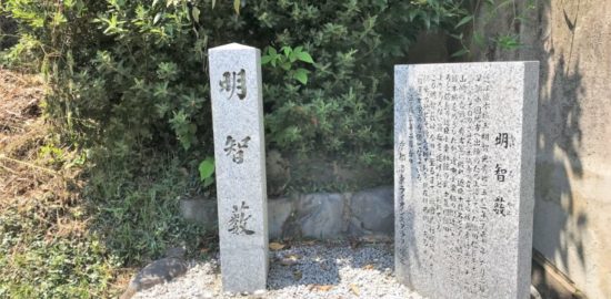 明智藪(小栗栖)