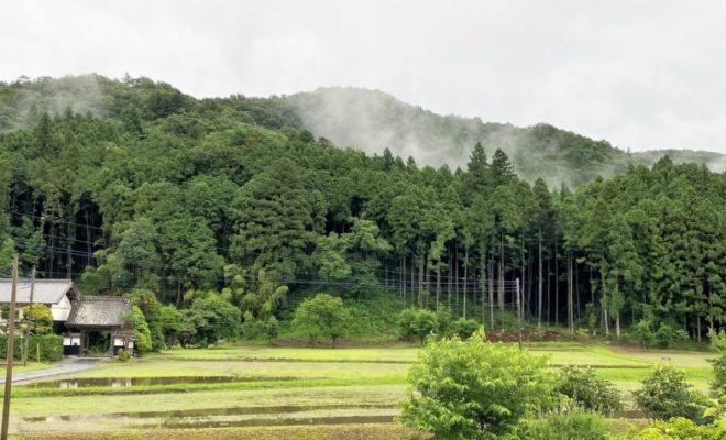 下野　藤沢城址
