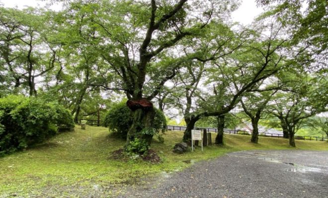 鹿沼城址
