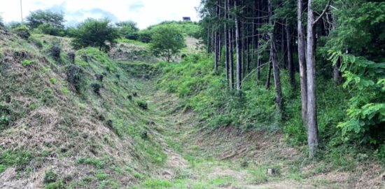 皆川城跡