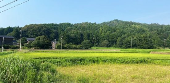 末森城跡（遠景）