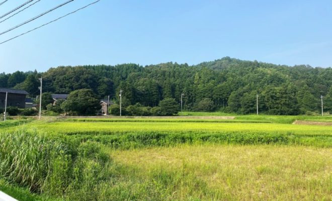末森城跡(遠景)