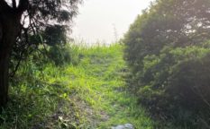 津幡城跡（物見砦）