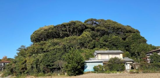 大田和城址 横須賀