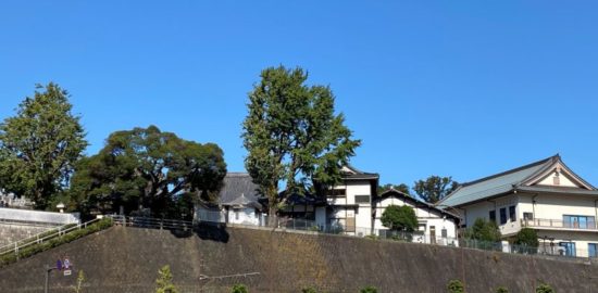 青木城跡　横浜