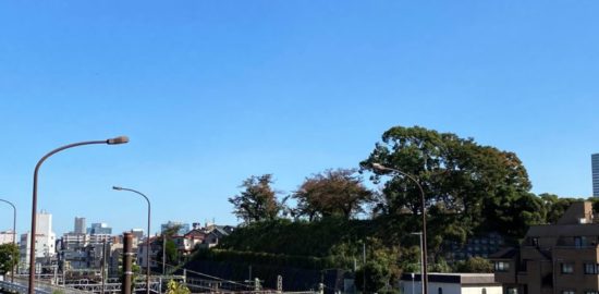 権現山城　神奈川