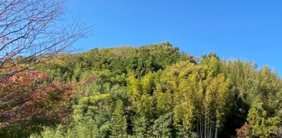 鳶ケ巣城(出雲)