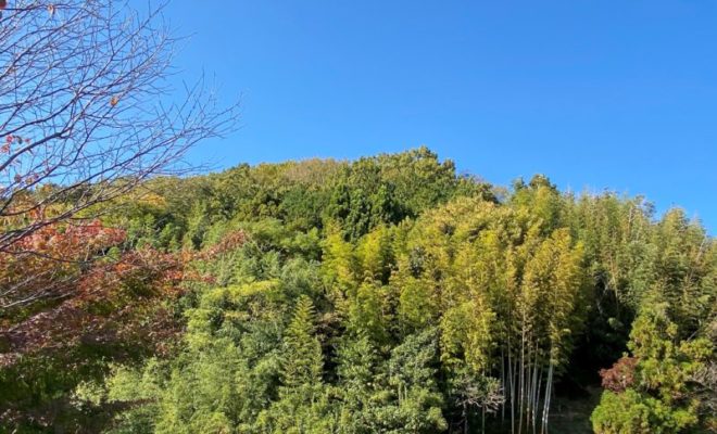 鳶ケ巣城(出雲)