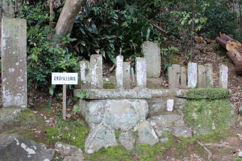 足利茶々丸～堀越公方の2代目、室町時代の不良少年と呼ばれた