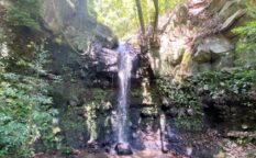 冷川不動尊　不動の滝