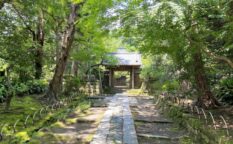 寿福寺　北条政子