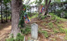 源（木曽）義高の墓　常楽寺