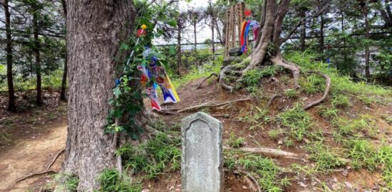 源（木曽）義高の墓　常楽寺