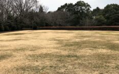 大庭城址公園　芝生広場