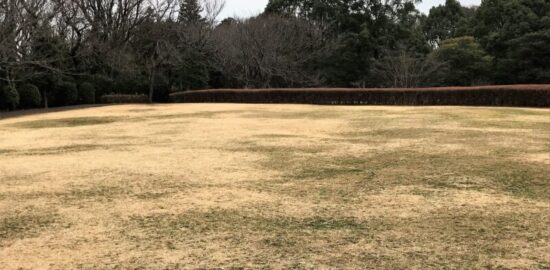 大庭城址公園 芝生広場
