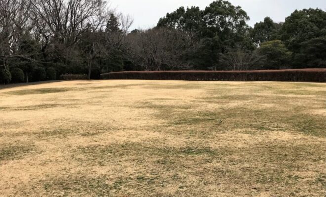 大庭城址公園 芝生広場