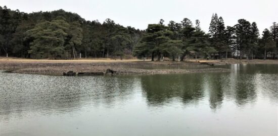 毛越寺 庭園