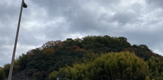 安芸・鎮海山城