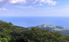東伊豆の海　豆州
