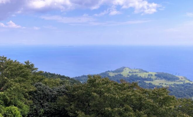 東伊豆の海 豆州