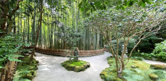 報国寺　竹林　庭