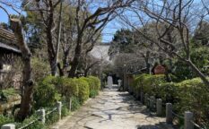 北條執権館跡（宝戒寺）