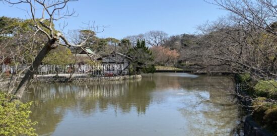 鶴岡八幡宮 源氏池