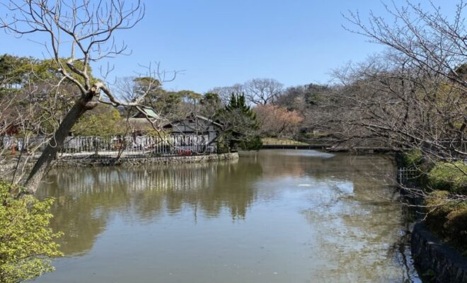 鶴岡八幡宮　源氏池