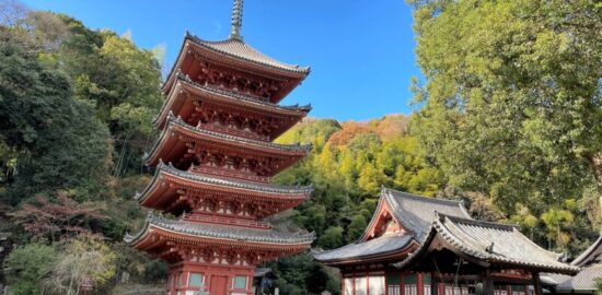 明王院　五重塔　本堂