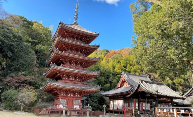 明王院　五重塔　本堂