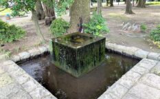 泉中央公園の泉