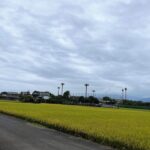 相模国大友郷