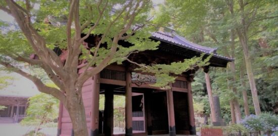 妙本寺(比企邸跡)