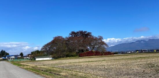 神指城跡(会津)