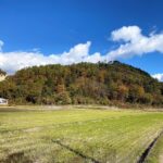 向井羽黒山城(遠景)